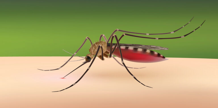 Zika Virus: Protecting Your Family
