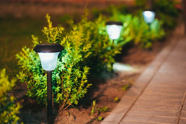 Backyard Light Ideas